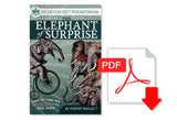 The Elephant of Surprise